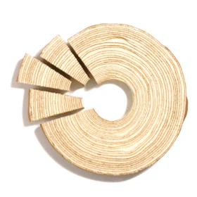 Sękacz Królewski 800 g bez opakowania – 1 większy fragment sękacza w kształcie krążka – prezentacja produktu 2_2