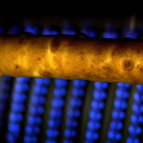 Sękacz Królewski – Galeria – Produkcja – Kompozycja 01